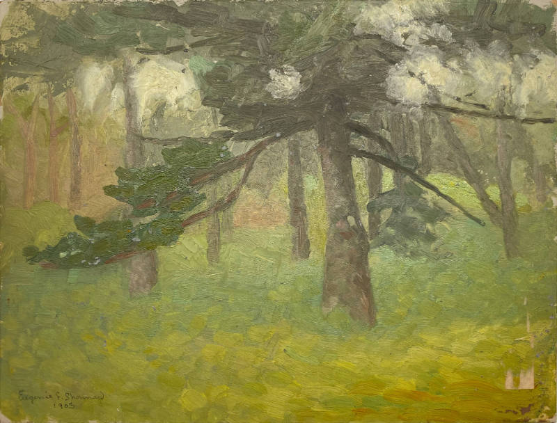Untitled (Landscape)