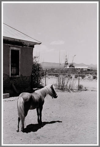 A House in Hachita, 1981