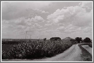 Landscape South of Las Cruces, 1981
