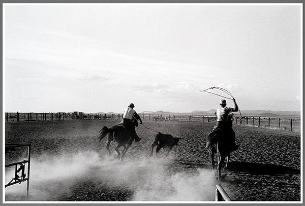 Lasso - Rodeo South of Animas, New Mexico