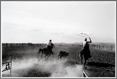 Lasso - Rodeo South of Animas, New Mexico