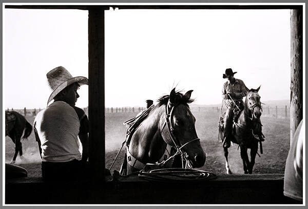 Rodeo South of Animas, New Mexico