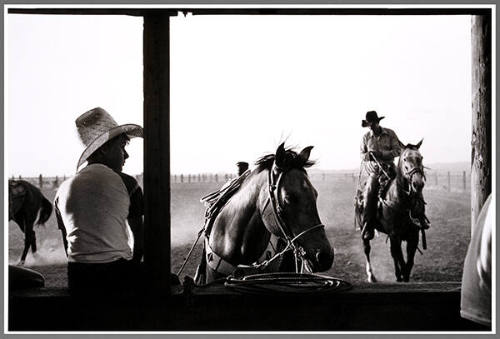 Rodeo South of Animas, New Mexico