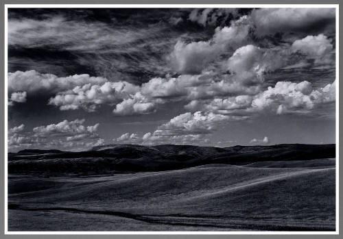 Near Mule Creek, New Mexico