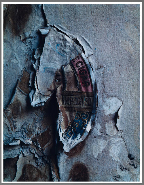 Wallpaper Fragment, Aspen, Colorado
