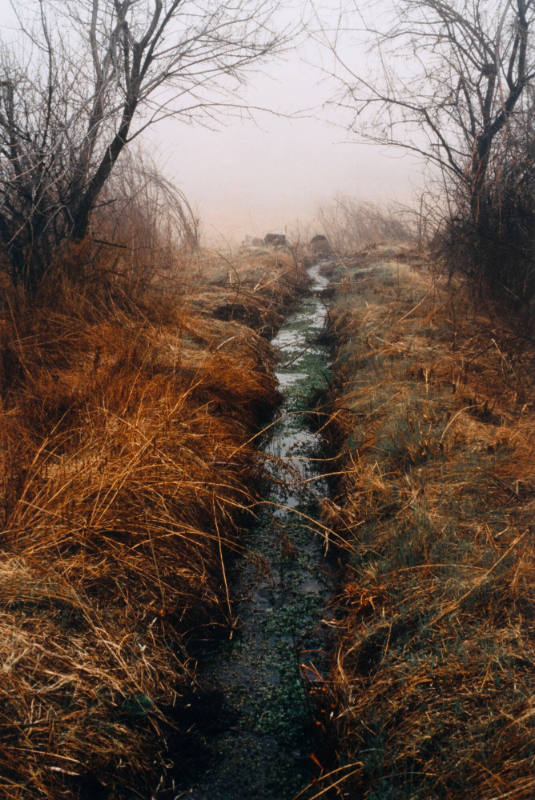 Untitled (Acequia)