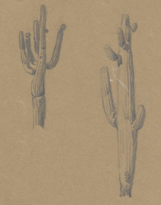 Desert Gossip (sketch)