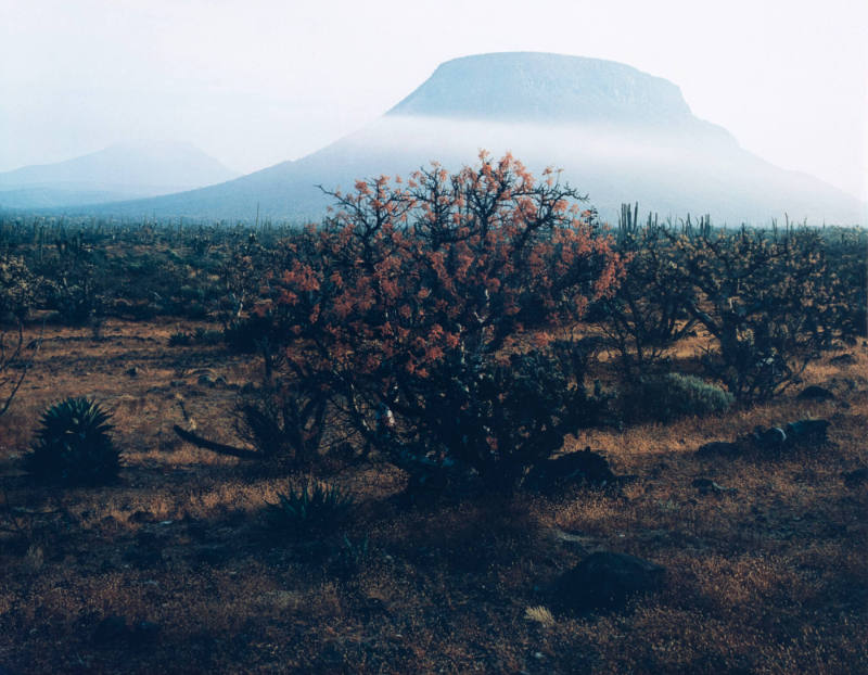 Volcano, Baja California