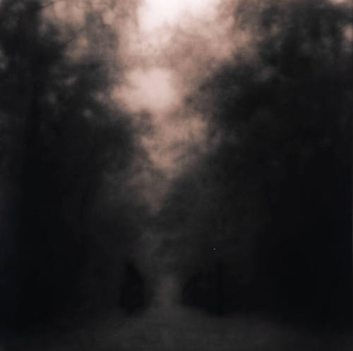 A  Dream Half Remembered