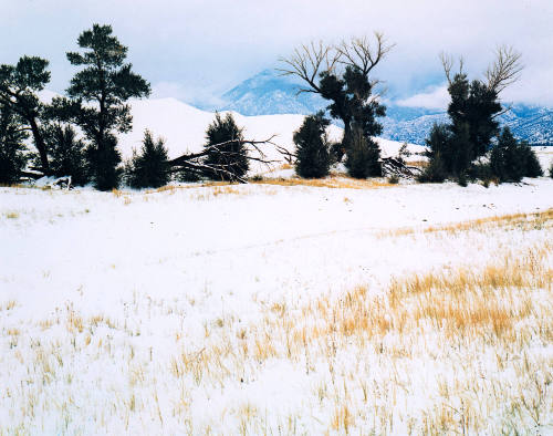 Great Sand Dunes, Colorado