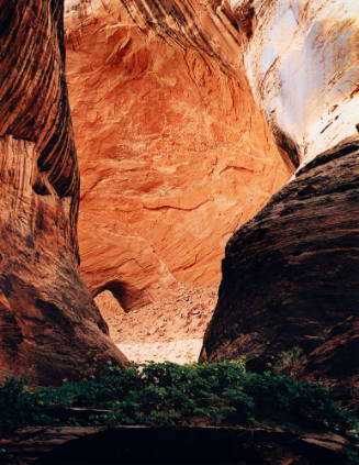 Ruess Arch and Amphitheater, Davis Gulch, Eacalante Basin, Glen Canyon, Utah