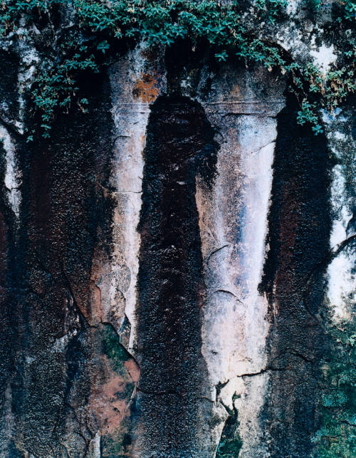 Seep, Jacob Hamblin Arch, Glen Canyon, Utah