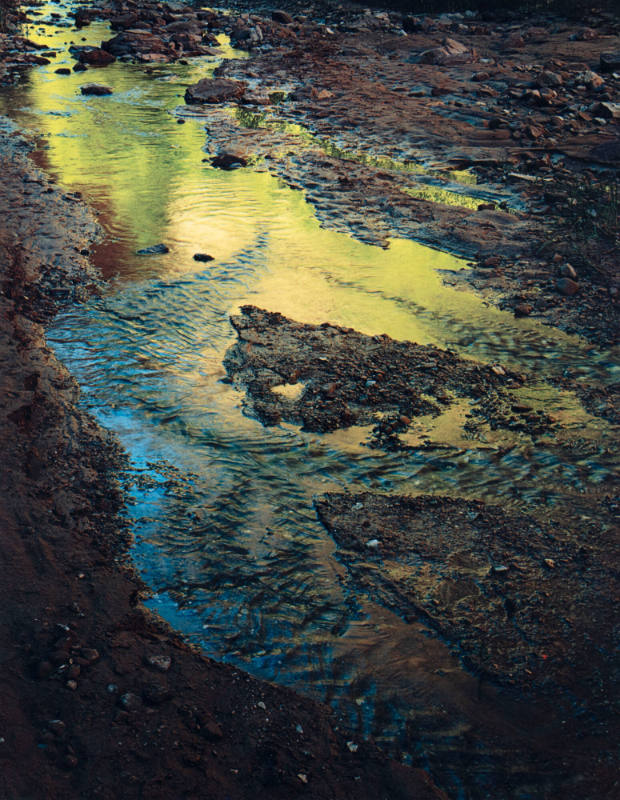 Green Reflections in Stream, Moqui Creek, Glen Canyon, Utah, Sept. 2, 1962