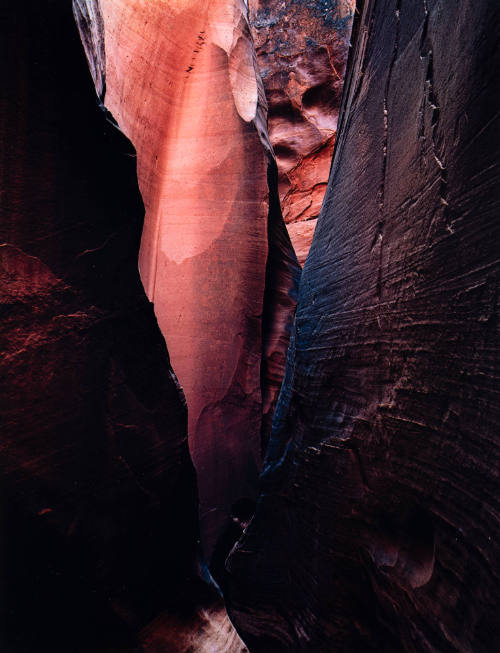 Dungeon Canyon, Glen Canyon, Utah, 1961