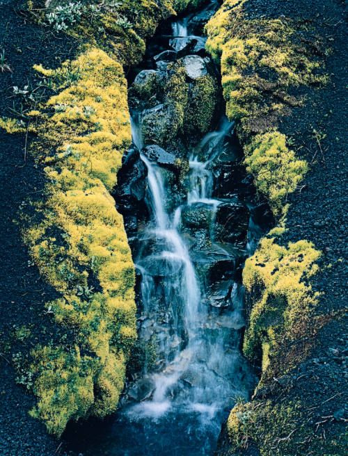 Moss, Waterfall, Cinders near Mount Hekla, Iceland