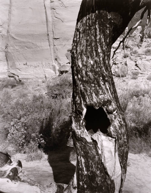 Untitled from Portfolio "Marks in Place"