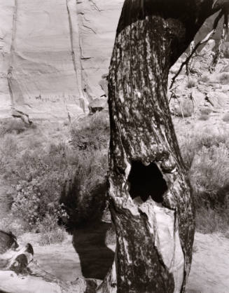 Untitled from Portfolio "Marks in Place"