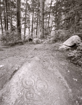 Untitled from Portfolio "Marks in Place"