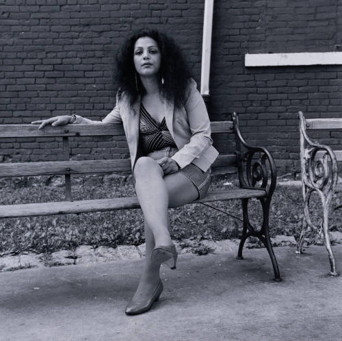 Untitled (Sugar on bench)