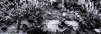 Shrine (from the Neighboorhood Project)