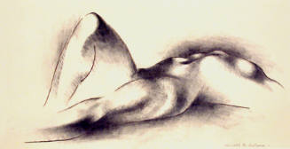 Torso