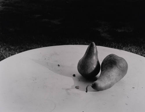 Two Pears on Table, Santa Fe