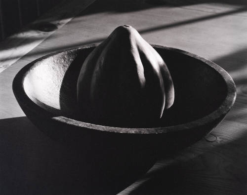 Squash in Bowl, Santa Fe, 1993