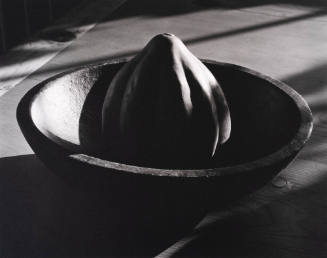 Squash in Bowl, Santa Fe, 1993