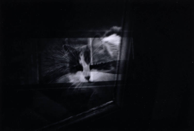 Looking into a Warm Interior