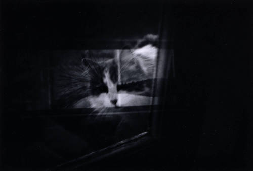 Looking into a Warm Interior