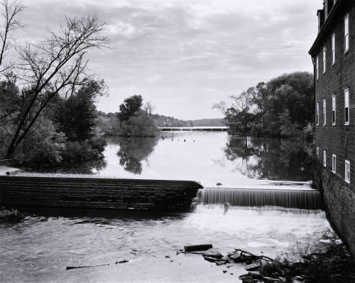 Untitled (Princeton)