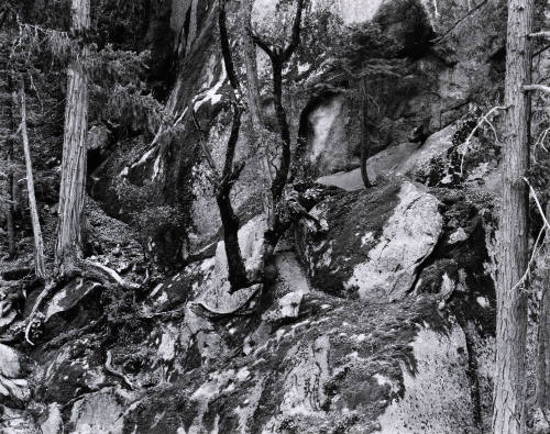 Untitled (Yosemite)