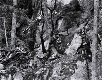 Untitled (Yosemite)