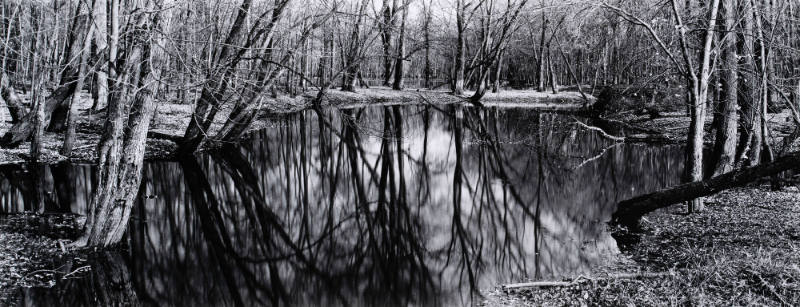 Untitled (Near New Albin, Iowa)