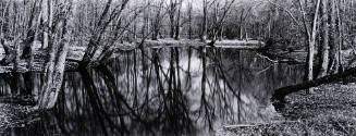 Untitled (Near New Albin, Iowa)