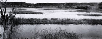 Untitled (Near Lansing, Iowa)