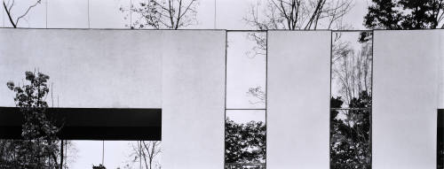 Untitled (Princeton)
