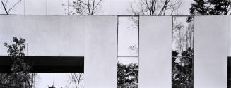 Untitled (Princeton)