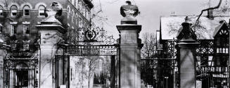 Untitled (Princeton)