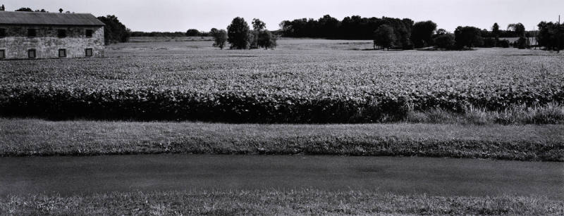 Untitled (Pineville, Bucks County)