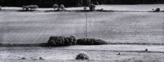 Untitled (Near Budetile, Czech Republic)