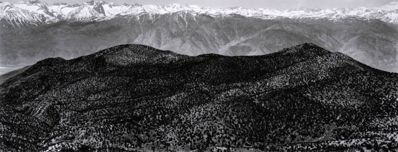 Untitled (From Pristlecone Pine Nat'l Mon., California)