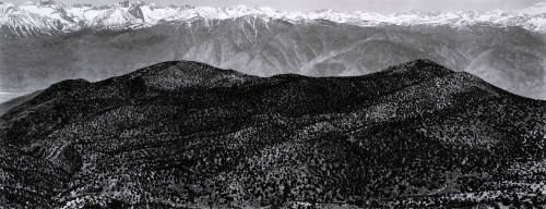 Untitled (From Pristlecone Pine Nat'l Mon., California)