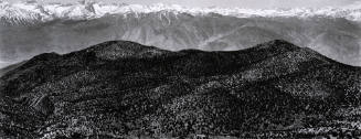 Untitled (From Pristlecone Pine Nat'l Mon., California)
