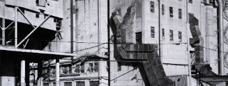 Untitled (New Orleans)