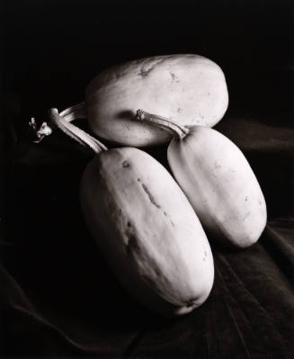 Squash on Black