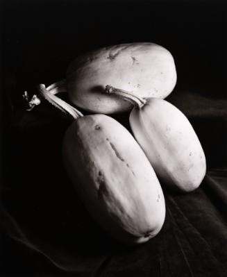 Squash on Black