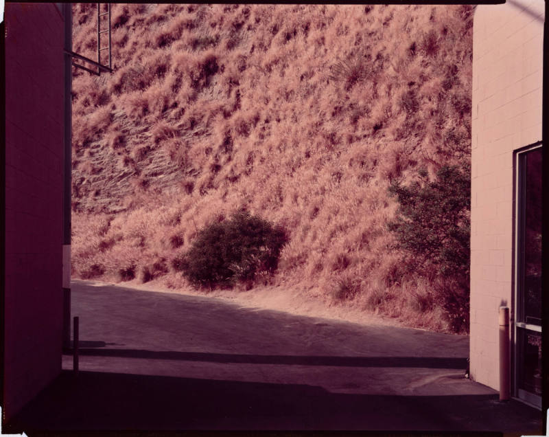 Alley of Sunset Strip, Hollywood, California