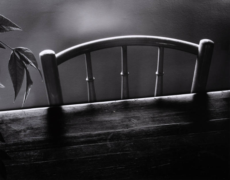 Chair and Leaves