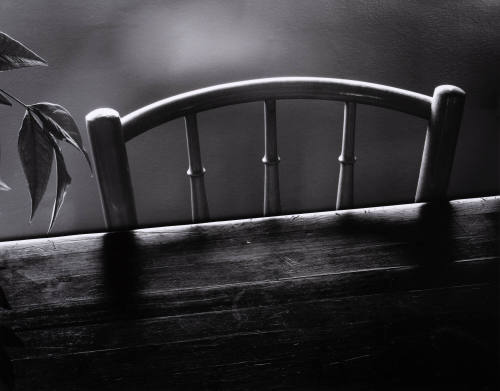 Chair and Leaves